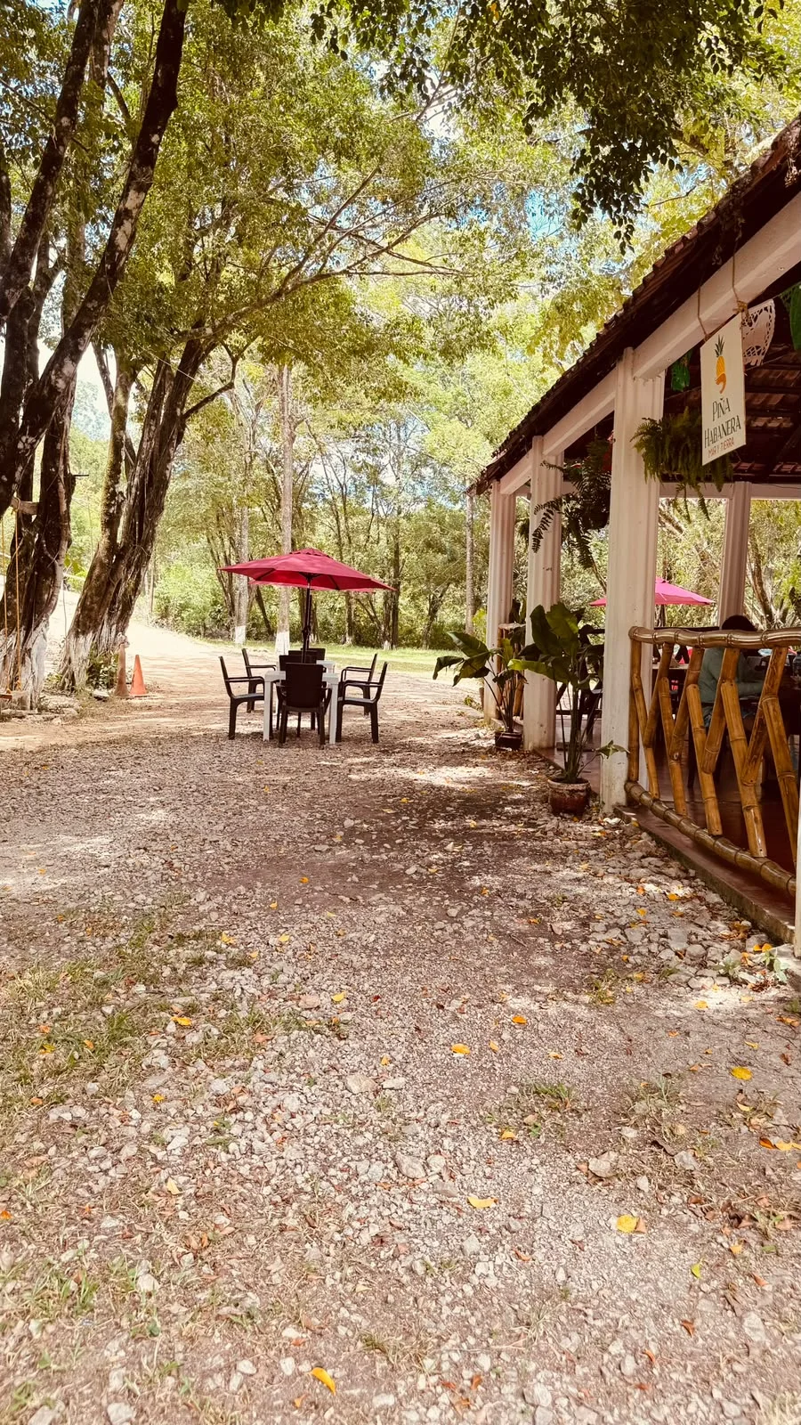 Fotografía original de PIÑA HABANERA 3