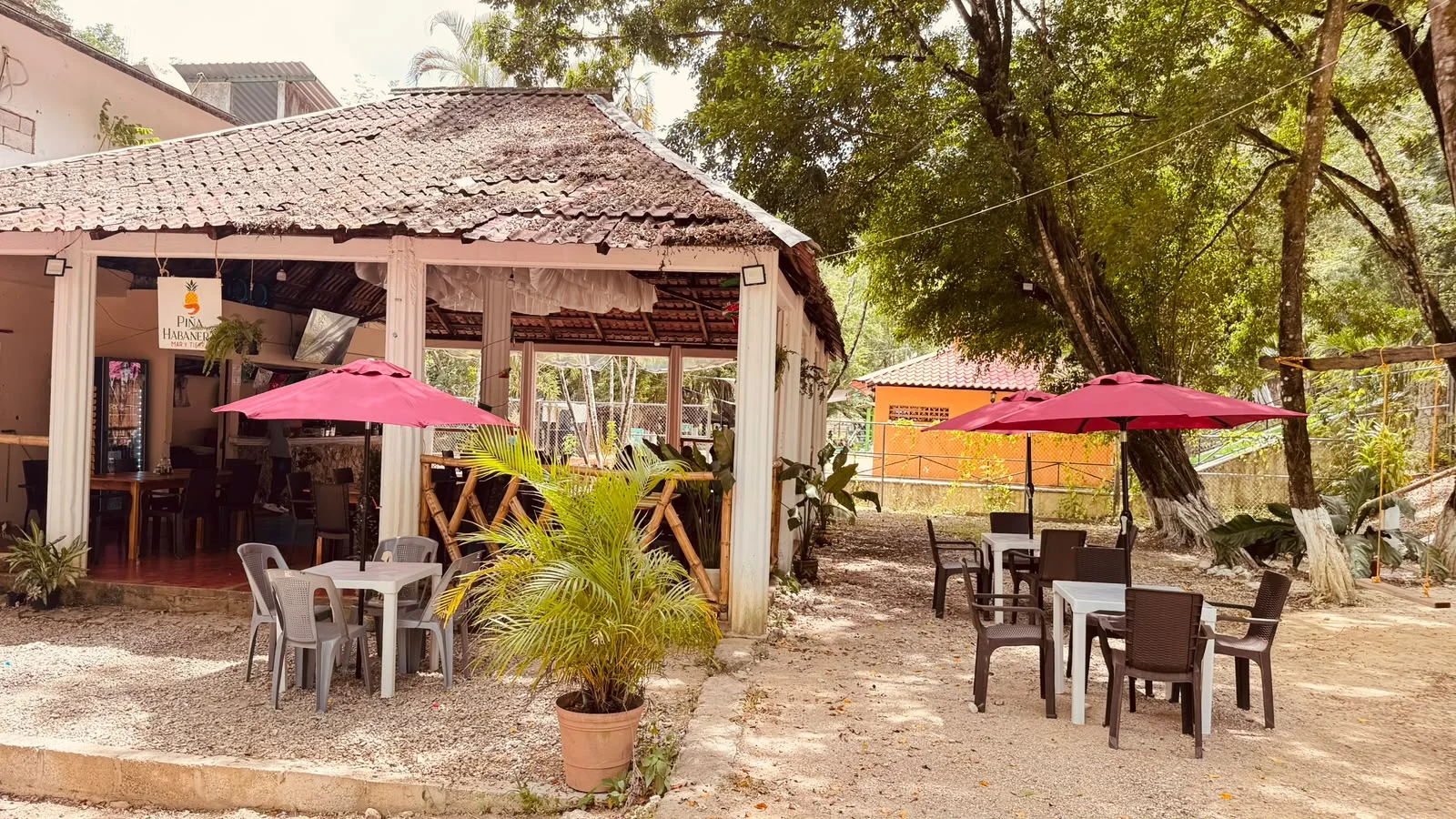 Fotografía original de PIÑA HABANERA 17